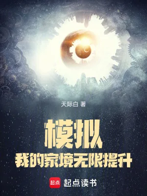 《模拟：我的家境无限提升》小说封面