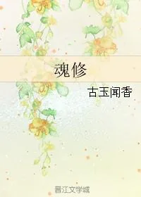 《魂修》小说封面