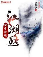 《侠骨枪魂江湖路》小说封面