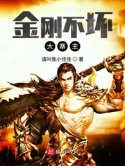 《金刚不坏大寨主》小说封面