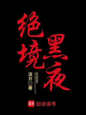 《绝境黑夜》小说封面