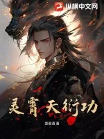 《灵霄天衍功》小说封面