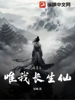 《唯我长生仙》小说封面