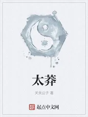 《太莽》小说封面