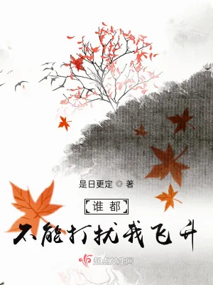 《谁都不能打扰我飞升》小说封面