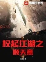 《权起江湖之顺天意》小说封面