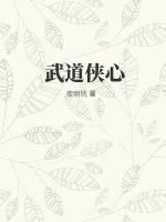 《武道侠心》小说封面