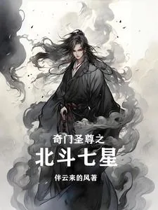 《雷神公子》小说封面