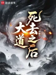 《大道死去之后》小说封面