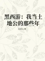 《黑西游:我当土地公的那些年》小说封面