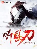 《听风刀》小说封面
