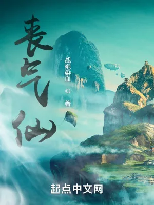《丧气仙》小说封面