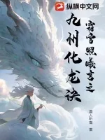 《霜雪照曦言之九州化龙诀》小说封面
