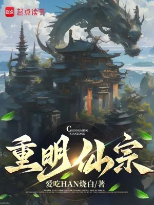 《重明仙宗》小说封面