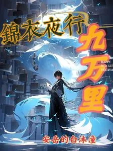 《锦衣夜行九万里》小说封面