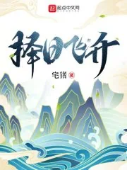 《择日飞升》封面