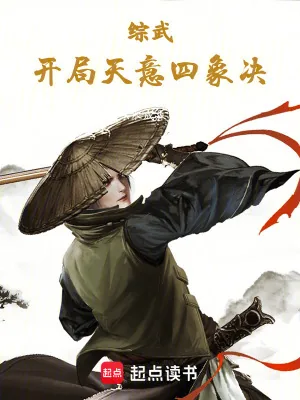《综武:开局天意四象决》小说封面