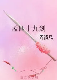 《孟四十九剑》小说封面