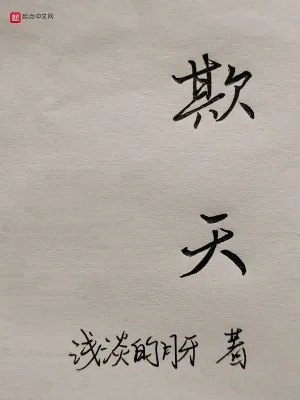 《欺天》小说封面