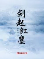 《剑起红尘》小说封面