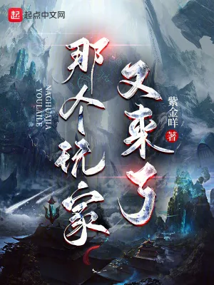 《那个玩家又来了》小说封面