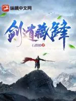 《剑道藏锋》小说封面