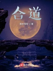 《合道》小说封面