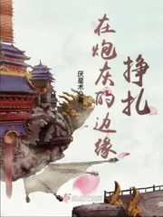 《在炮灰的边缘挣扎》小说封面