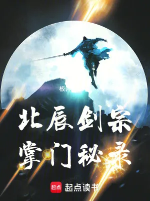 《北辰剑宗掌门秘录》小说封面