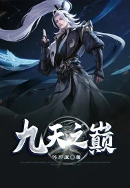 《九天之巅》小说封面