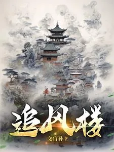 《追风楼》小说封面