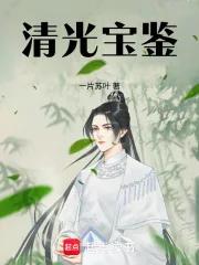 《清光宝鉴》小说封面