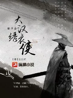 《大汉绣衣使》小说封面