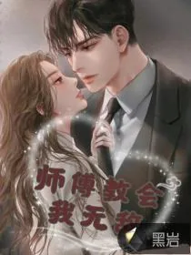 《师傅教会我无敌》小说封面
