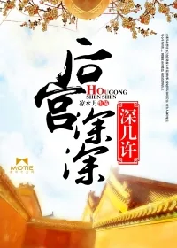 《后宫深深深几许》小说封面