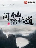 《问仙踏此道》小说封面