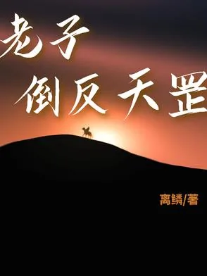 《老子倒反天罡》小说封面