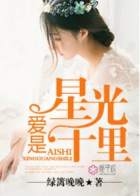 《爱是星光十里》小说封面