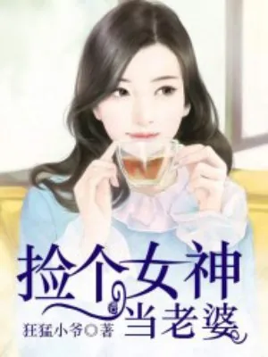 《捡个女神当老婆》小说封面