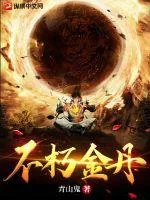 《不朽金丹》小说封面