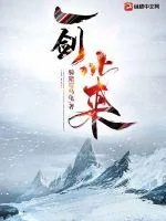 《一剑北来》小说封面