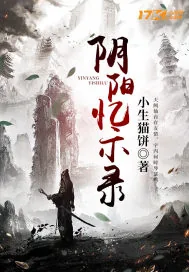 《阴阳忆示录》小说封面