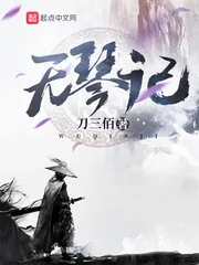 《无琴记》小说封面