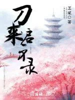 《刀来启示录》小说封面