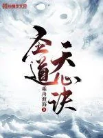 《圣道天心诀》小说封面