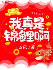 《我真是锦鲤啊》封面