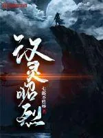 《汉灵昭烈》封面