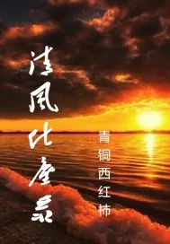 《清风化尘录》封面