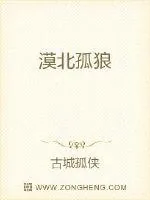 《漠北孤狼》封面