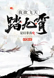 《我欲飞天踏九霄》封面